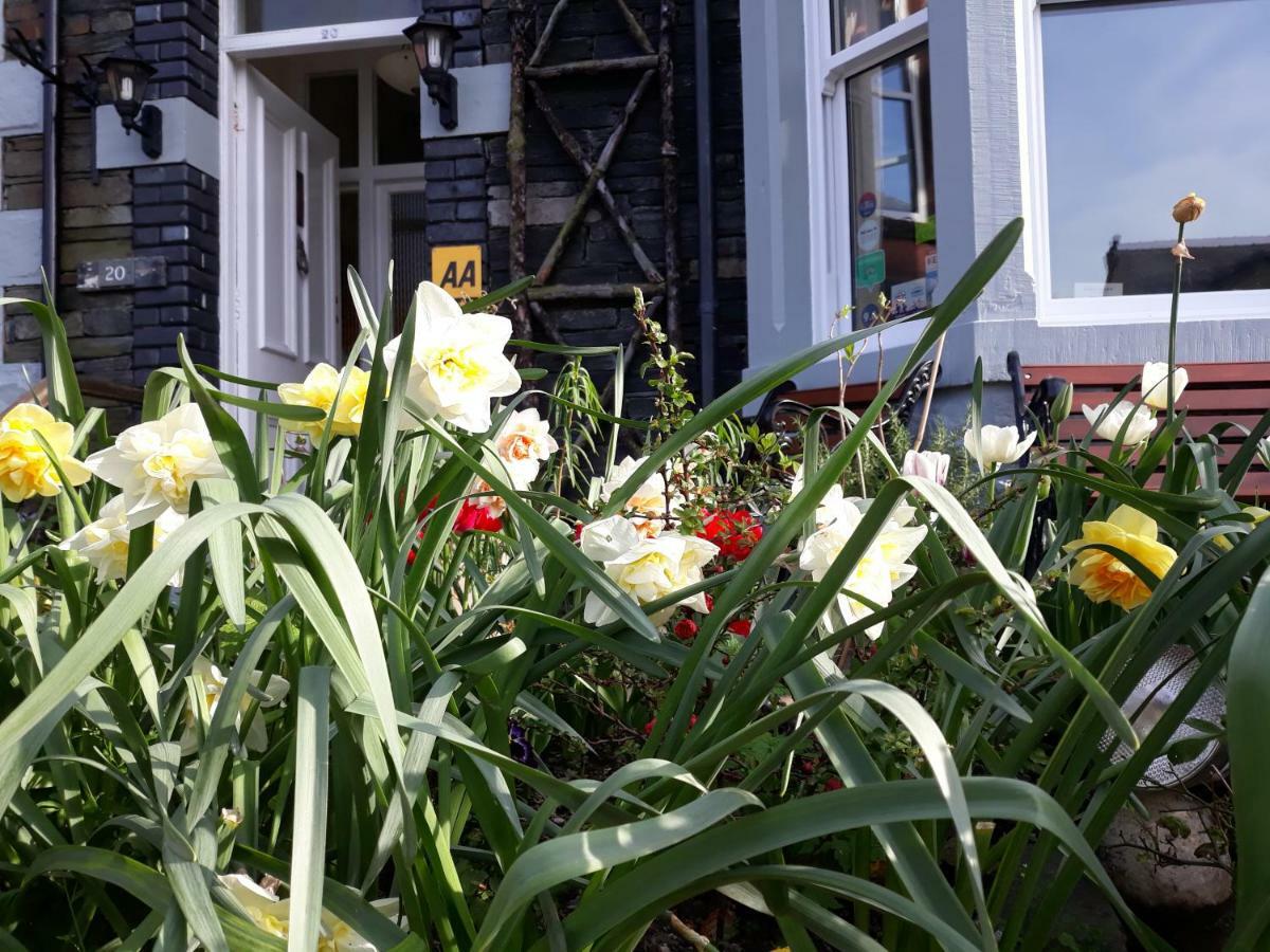 كيسويك Eden Green Guest House المظهر الخارجي الصورة